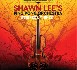 Shawn Lee's Ping Pong Orchestra - Strings and Things