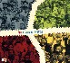 AIFF - Afro Soul System