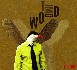 Tim Woods - Play Birds