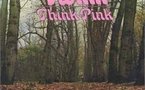 Twink -Ten Thousand Words in a Cardboard Box  - Think Pink " - 1970