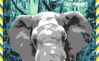 Tarsius et White Elephants squattent les Combustibles
