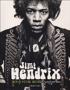 Jimi Hendrix : Mots pour mots - David Stubbs