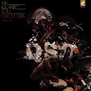 Quantic Soul Orchestra - Pushin' On Quantic Soul Orchestra - Pushin' On