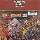 Marvin Gaye : The Trouble Man