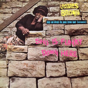 James Brown - Sho is funky Down Here