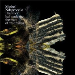 Meshell Ndegeocello - The World Has Made Me The Man Of My Dreams