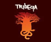 Tribeqa - Tribeqa Tribeqa - Tribeqa