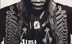 Jimi Hendrix : Mots pour mots - David Stubbs