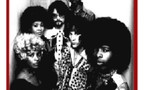 Sly Stone :  Le météore Funk !