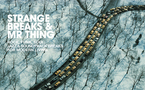 Strange Breaks & Mr Things Vol 1 et 2 Strange Breaks & Mr Things Vol 1 et 2
