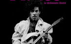 Prince, le dictionnaire illustré