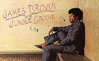 James Brown en petits morceaux James Brown en petits morceaux