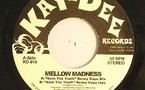 Mellow Madness - Save the Youth