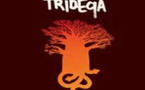 Tribeqa - Tribeqa Tribeqa - Tribeqa