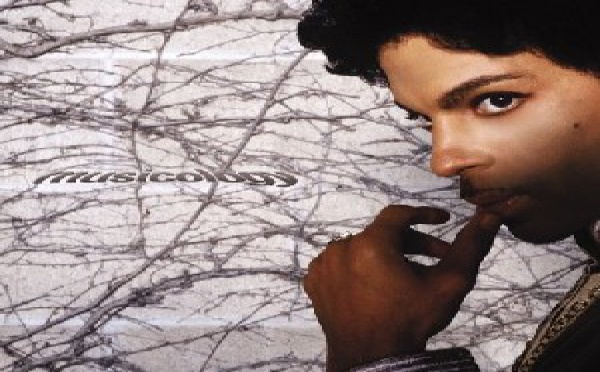 Prince - Musicology