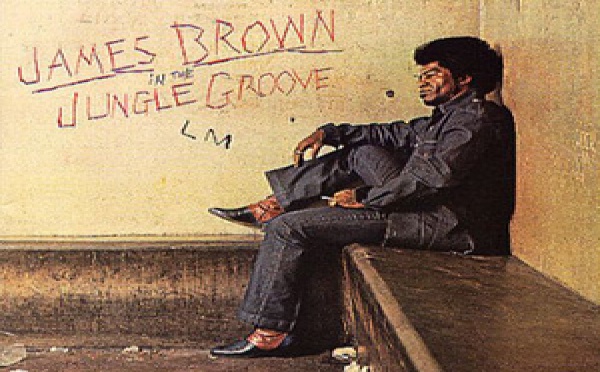 James Brown en petits morceaux