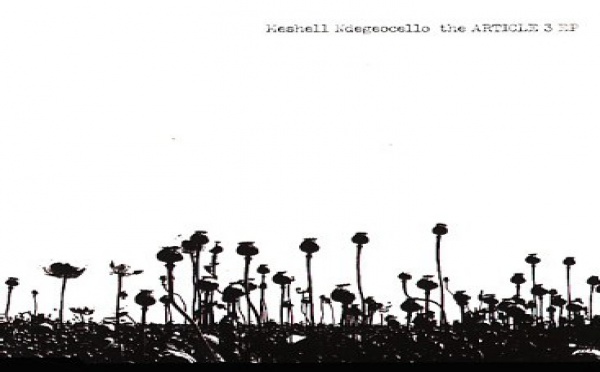 Meshell Ndegeocello - Article 3