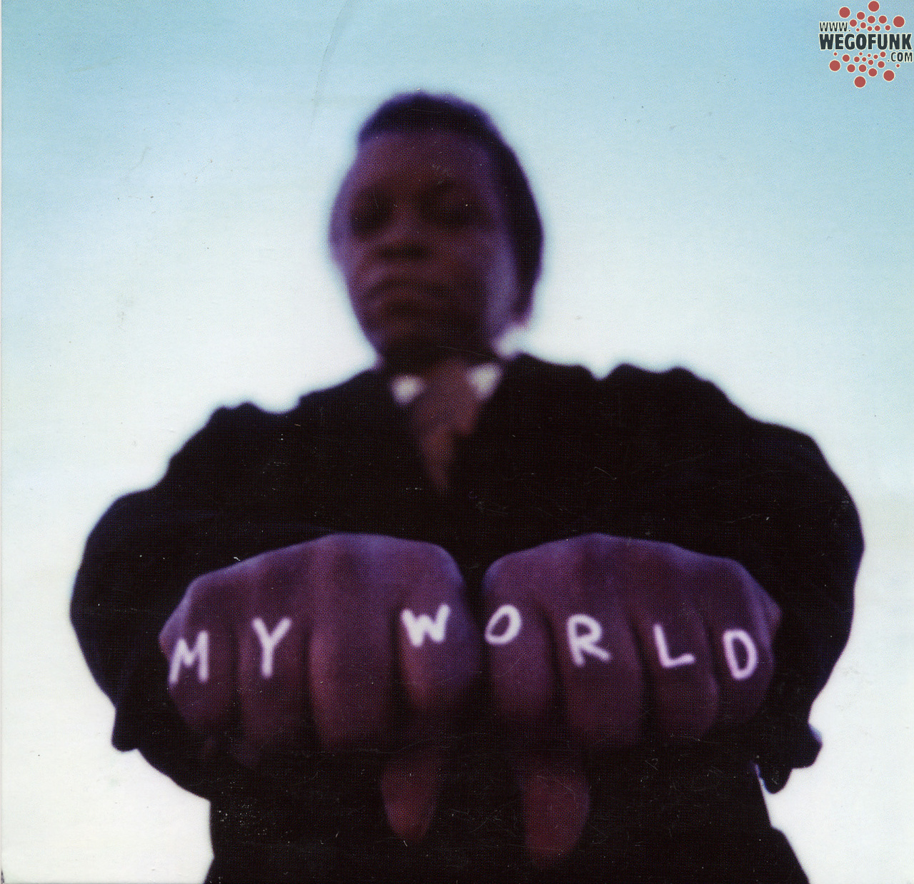 lee_fields__the_expressions.jpg lee_fields__the_expressions.jpg